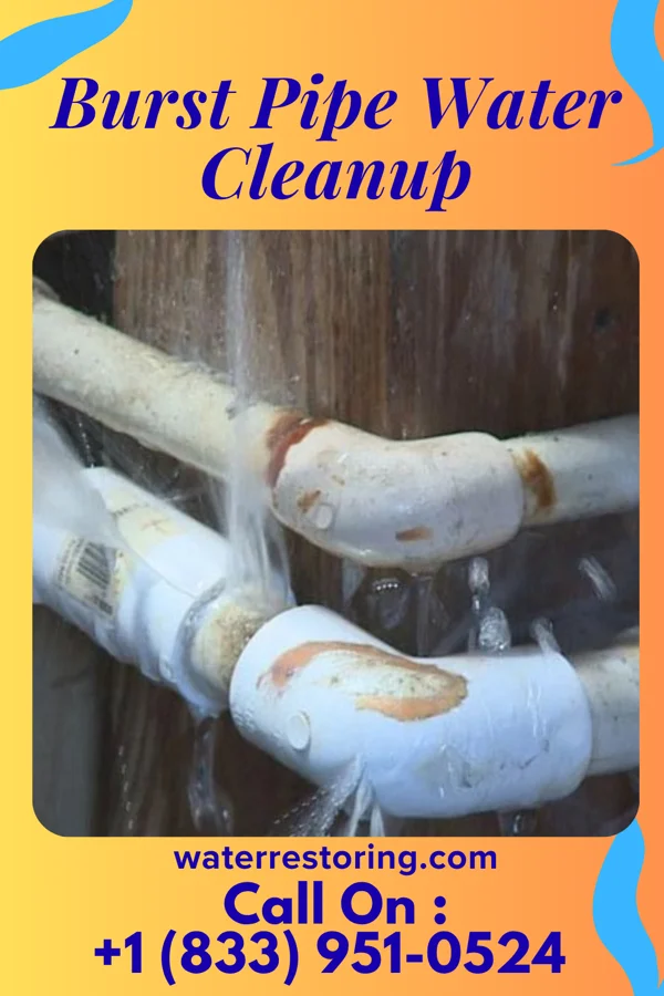 Burst Pipe Water Cleanup in SUNY Oswego, NY
