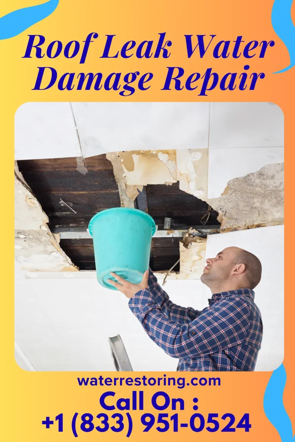 Roof Leak Water Damage Repair in SUNY Oswego, NY