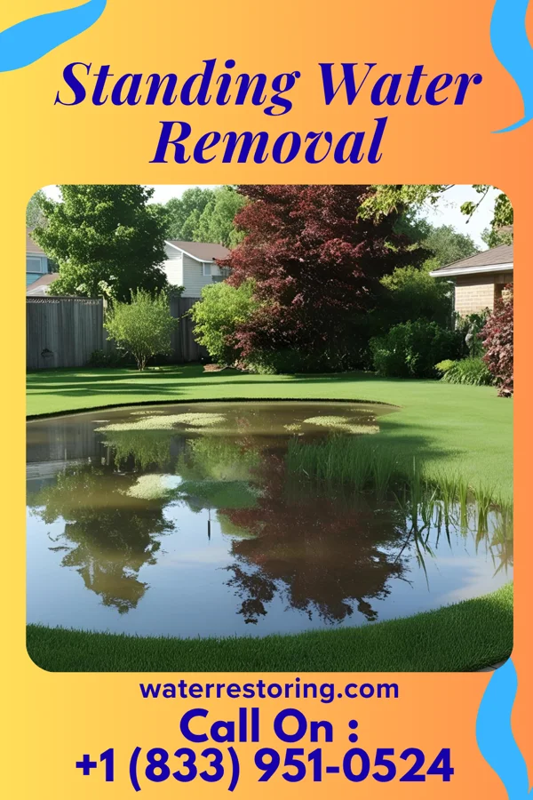 Standing Water Removal in SUNY Oswego, NY